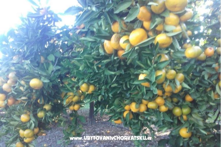 Apartmány Alfijo – foto 11