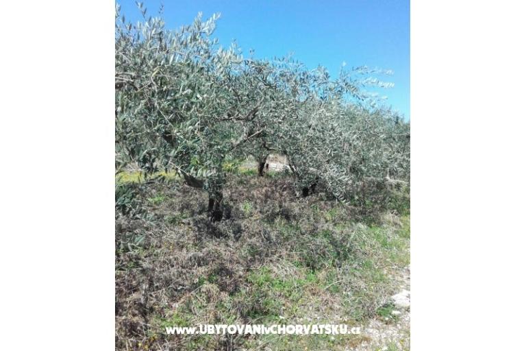 Apartmány Alfijo – foto 13