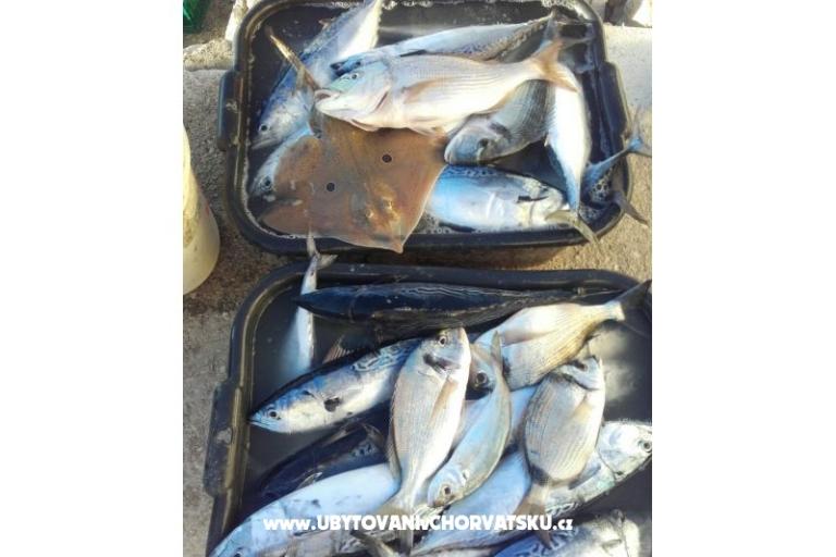 Apartmány Alfijo – foto 9