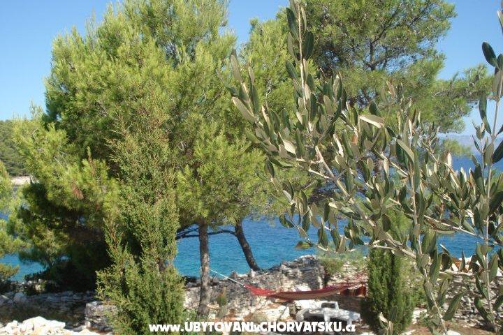 Apartmán Kaurloto – foto 8