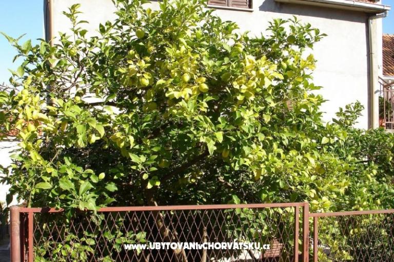 Apartmány Ankica – foto 4