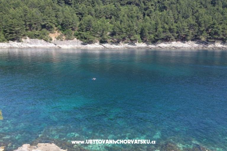 Apartmány Šain – foto 12