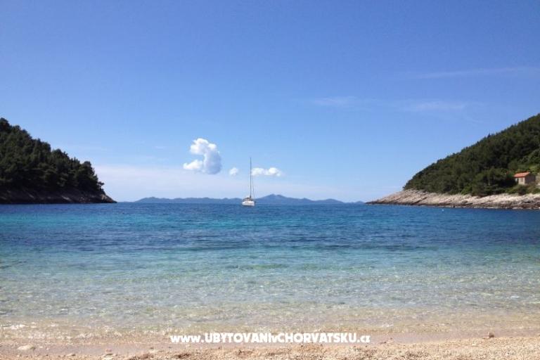 Apartmány Šain – foto 14