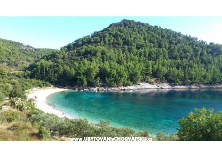 Apartmány Šain – foto 15