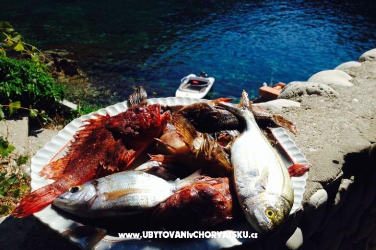 Apartmány Šain – foto 17