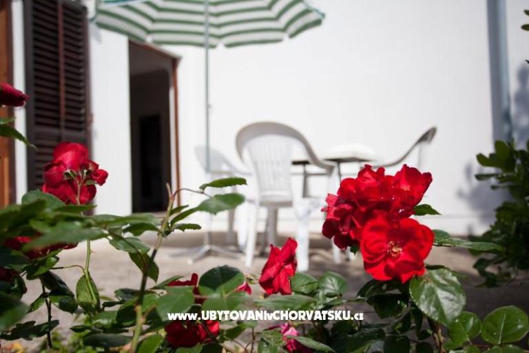 Apartmán Baska – foto 2