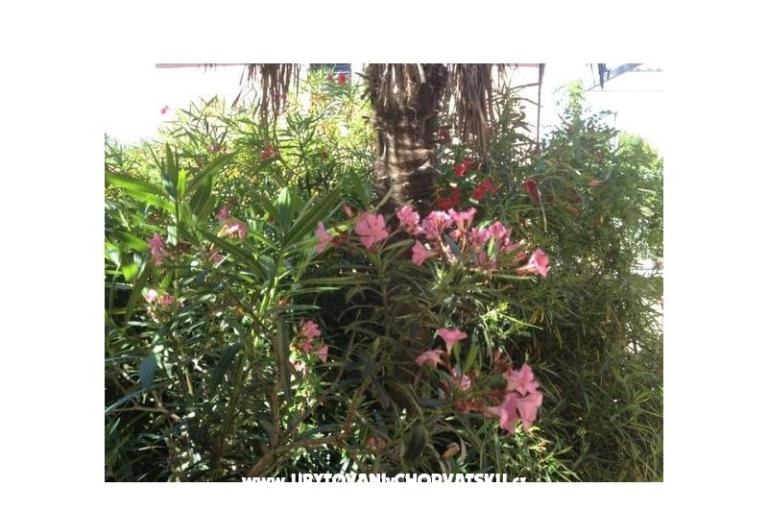 Apartmán Iris – foto 12