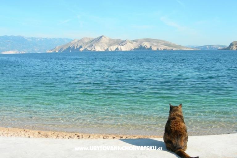 Apartmán Linda – foto 18