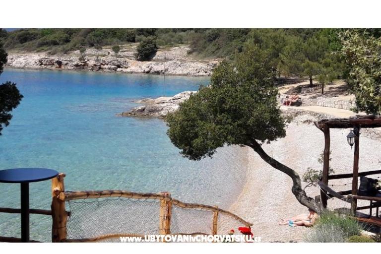 Cedrus apartment, modern / comfy – foto 14