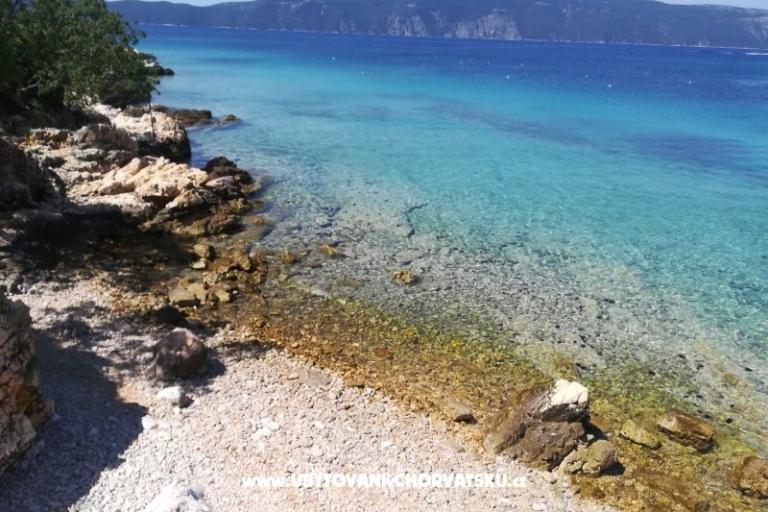 Cedrus apartment, modern / comfy – foto 16