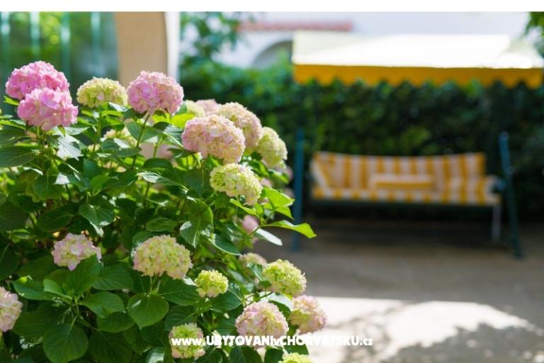 Apartmány Blažević – foto 8