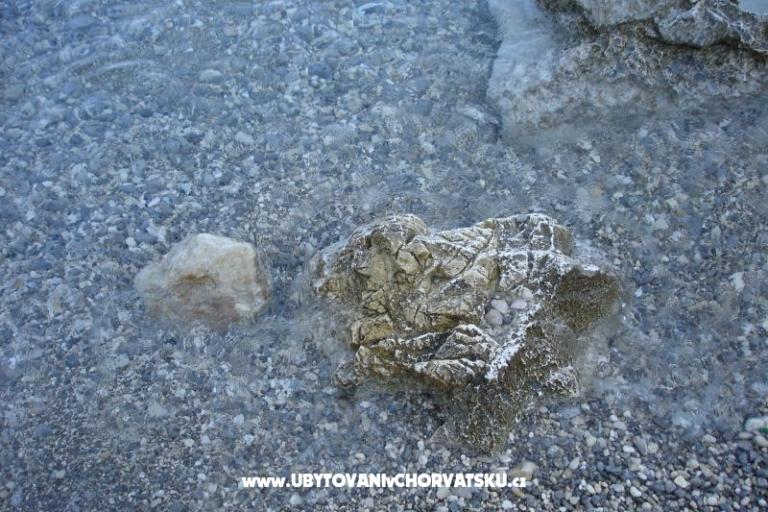 Apartmány Grzalja-Rozic Krk – foto 16