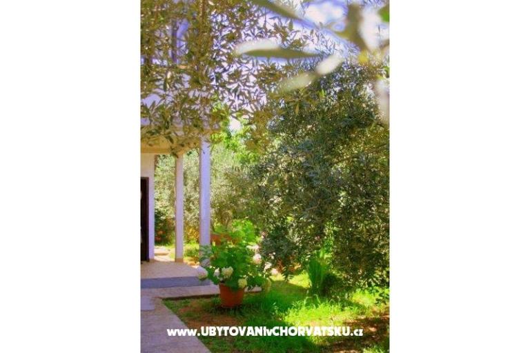 Apartmány Krk-Hydrangea – foto 14