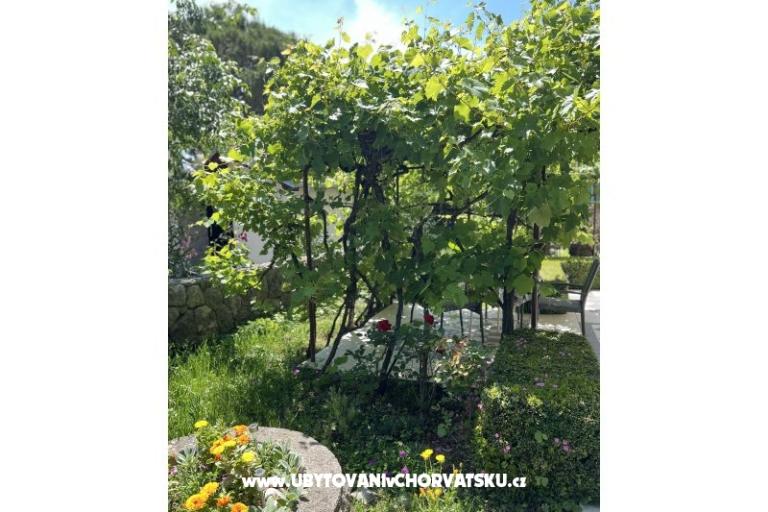 Apartmány Matea – foto 22