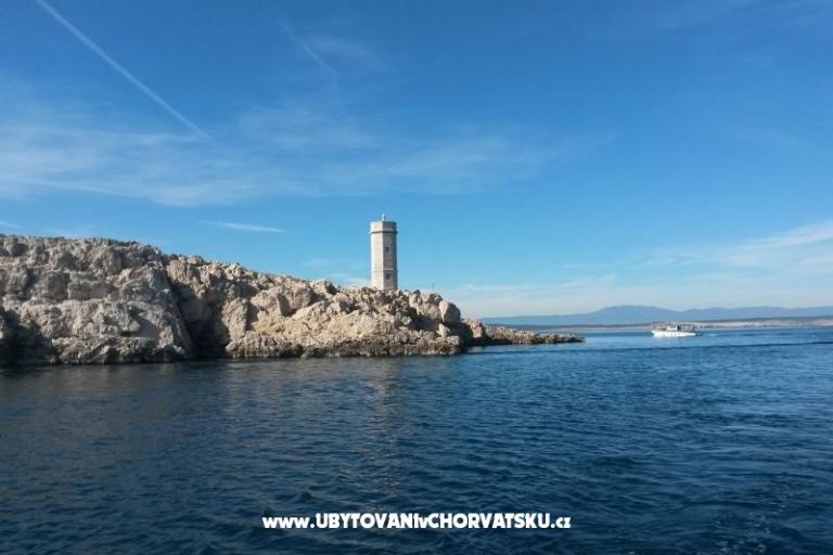 Apartmány Vila Maslina – foto 16