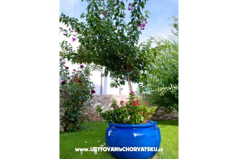 Lucia Apartmány – foto 7