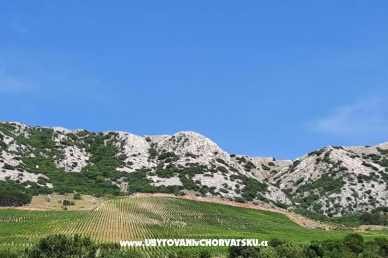 Rocky – foto 2