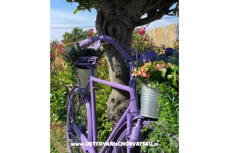 Prázdninový dom Bepina – foto 20