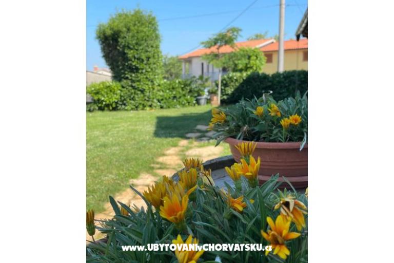 Prázdninový dom Bepina – foto 21