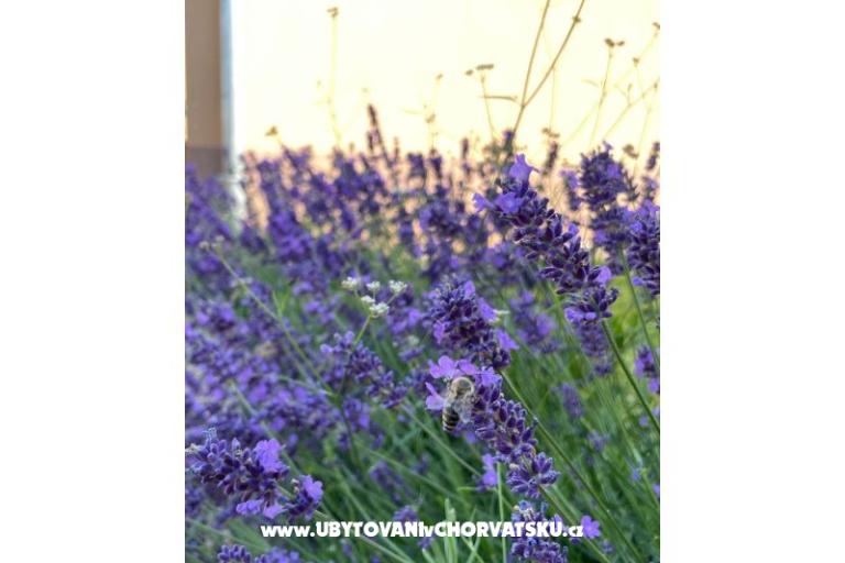 Prázdninový dom Bepina – foto 22