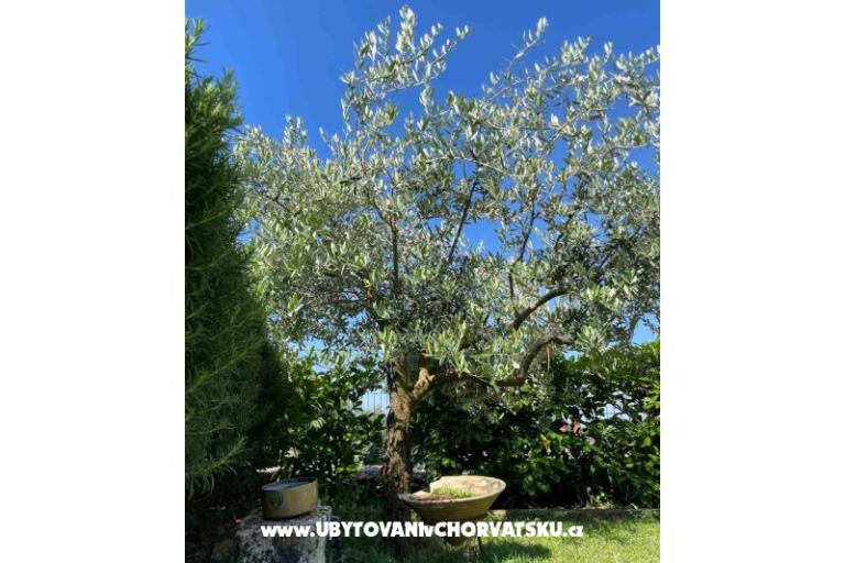 Prázdninový dom Bepina – foto 23