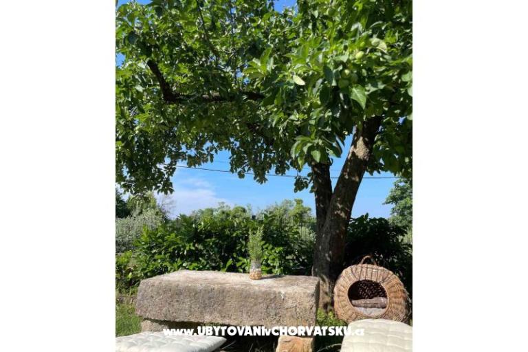 Prázdninový dom Bepina – foto 24