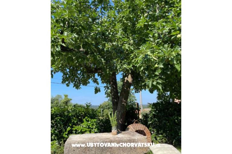 Prázdninový dom Bepina – foto 27