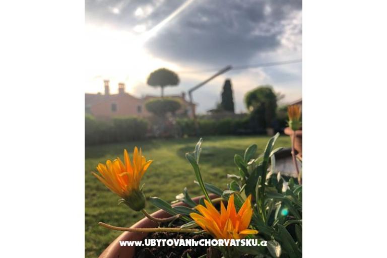 Prázdninový dom Bepina – foto 29