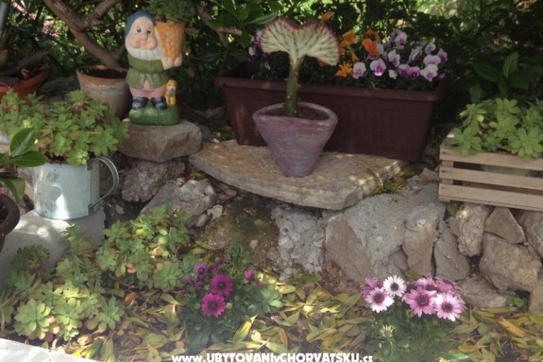 Apartmán Lilly – foto 12