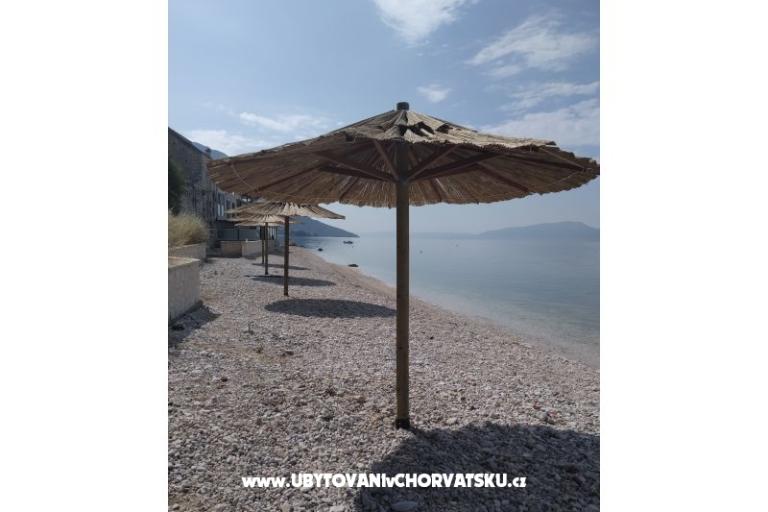 Apartmány Dalmata – foto 6