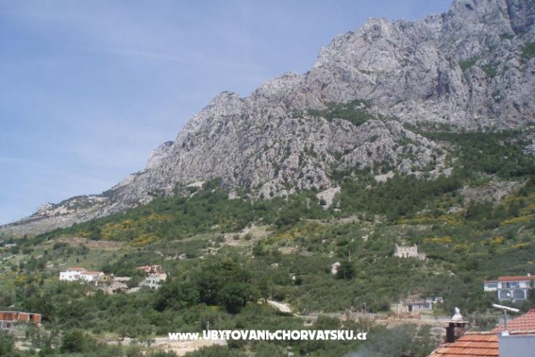 Apartmány Mileta – foto 18