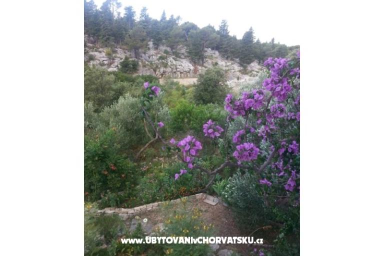 Apartmány Rubinić – foto 15