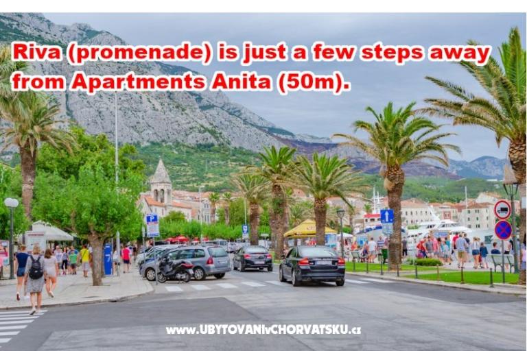 Apartmány Anita - Center – foto 17