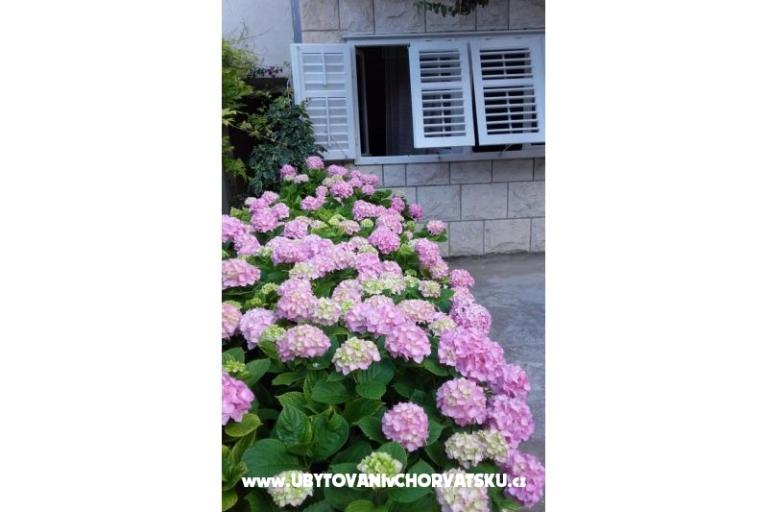 Apartmány Jele – foto 7