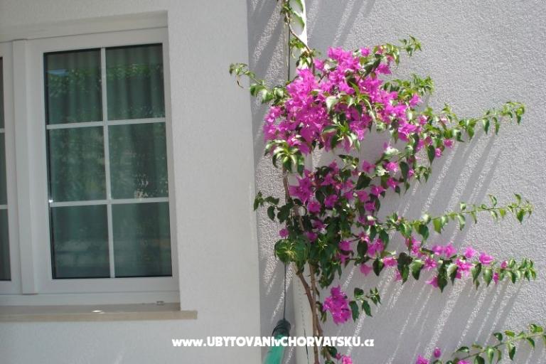 Apartmány Milic – foto 16