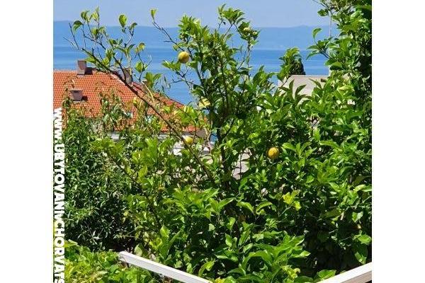 Apartmány Sani – foto 18