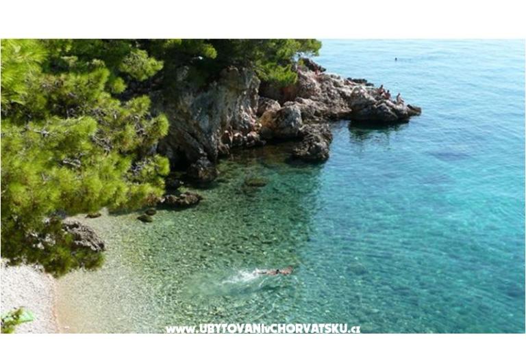 Studio Jakov – foto 14