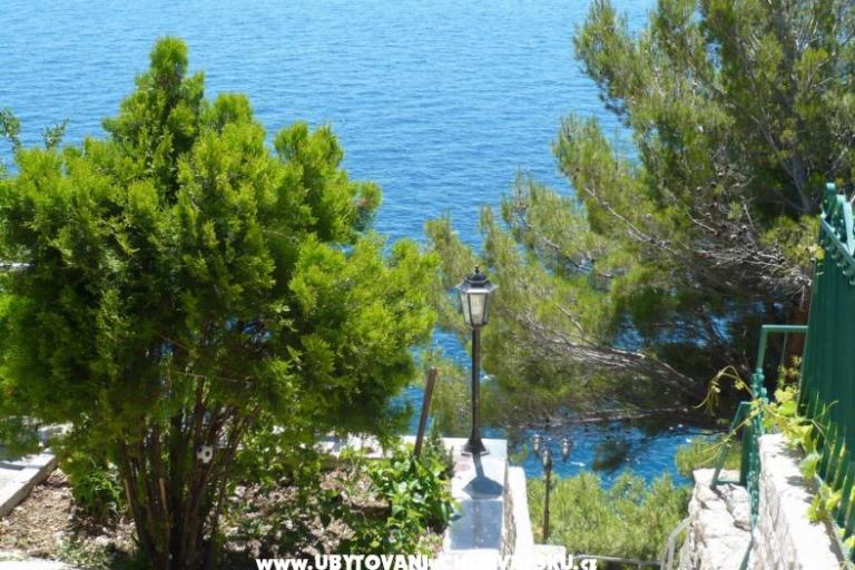 Apartmány Sliskovic, 1. line to sea – foto 8