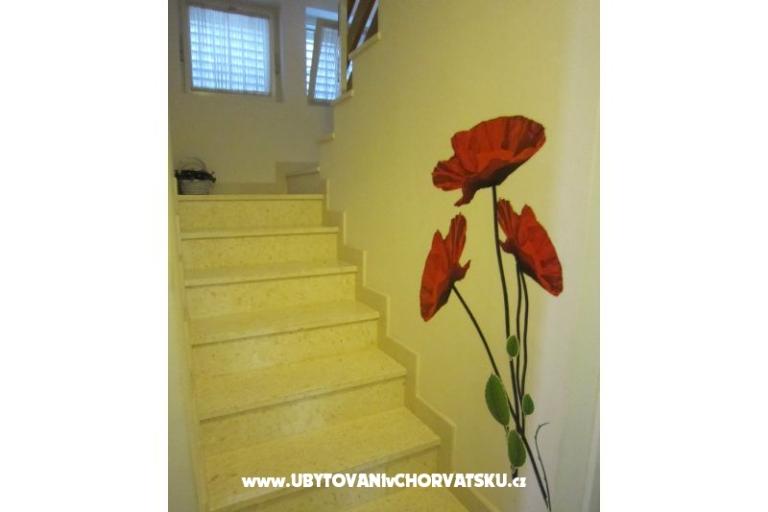 Villa Olga – foto 9