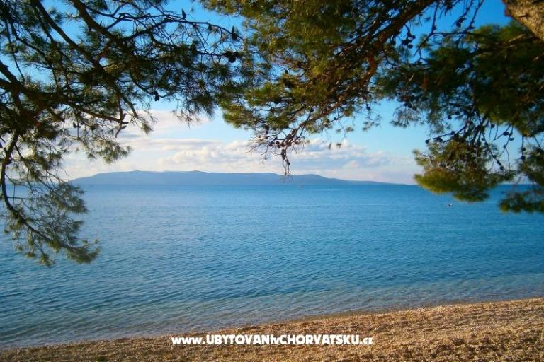 Villa Olga – foto 12