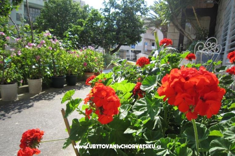 Villa Olga – foto 13