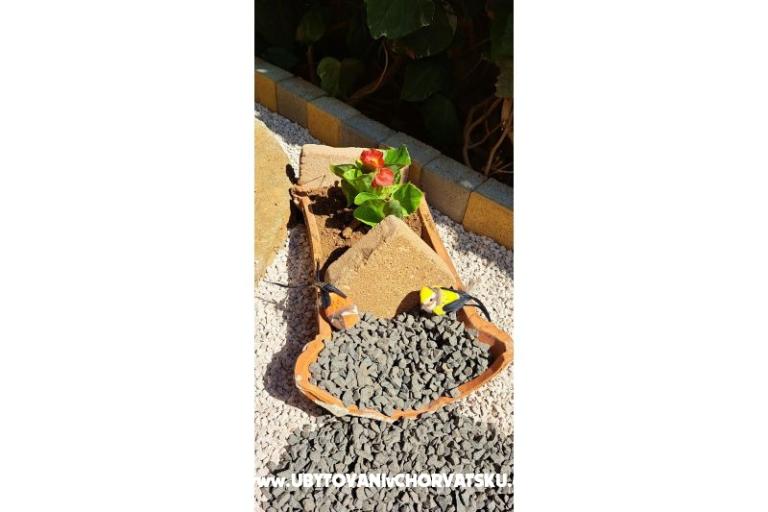 Apartmány Avvi – foto 23