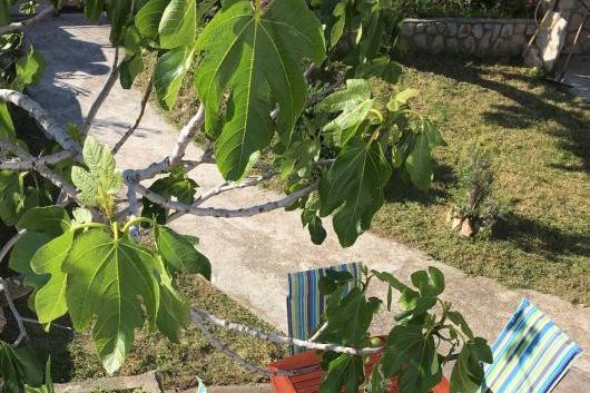 Casa di Castello – foto 3