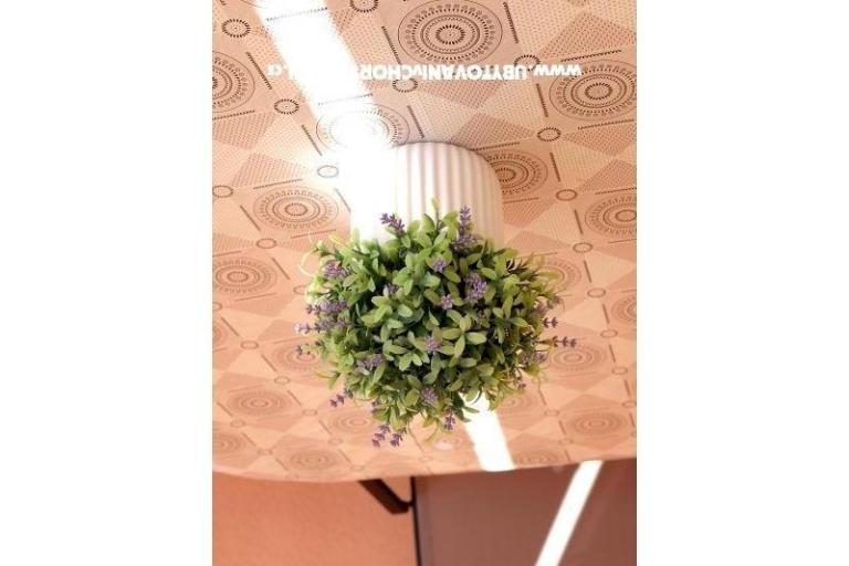 Apartmány Ivanka – foto 15