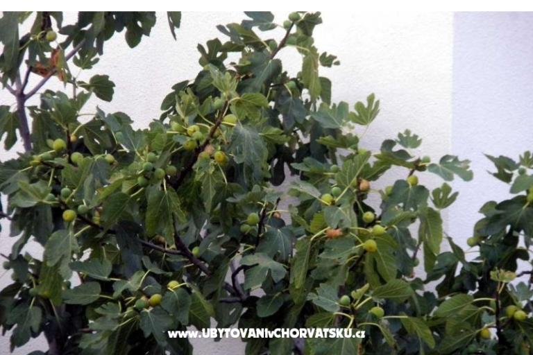 Apartmány Marasović – foto 6