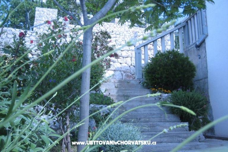 Apartmány Punta  – foto 9