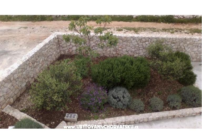 Apartmán  Darija – foto 15