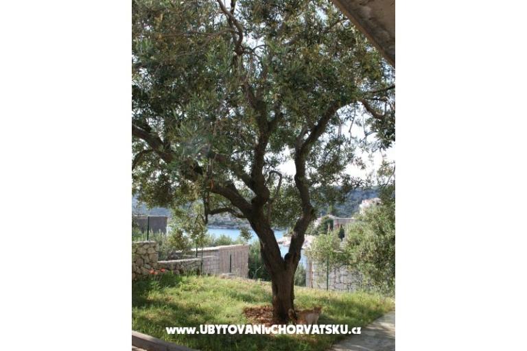 Apartmány Sevid Nikša i Lucija – foto 15