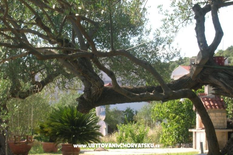 Apartmány Mira &amp; Vinko – foto 13