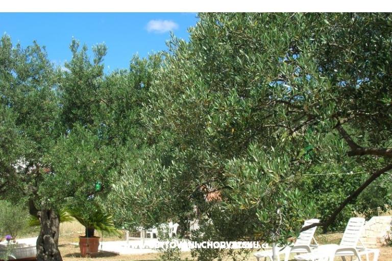 Apartmány Mira &amp; Vinko – foto 15